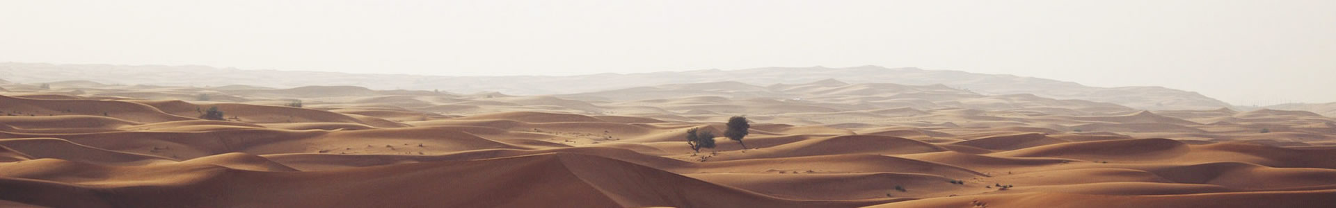 ɽΕNƼ޹˾
